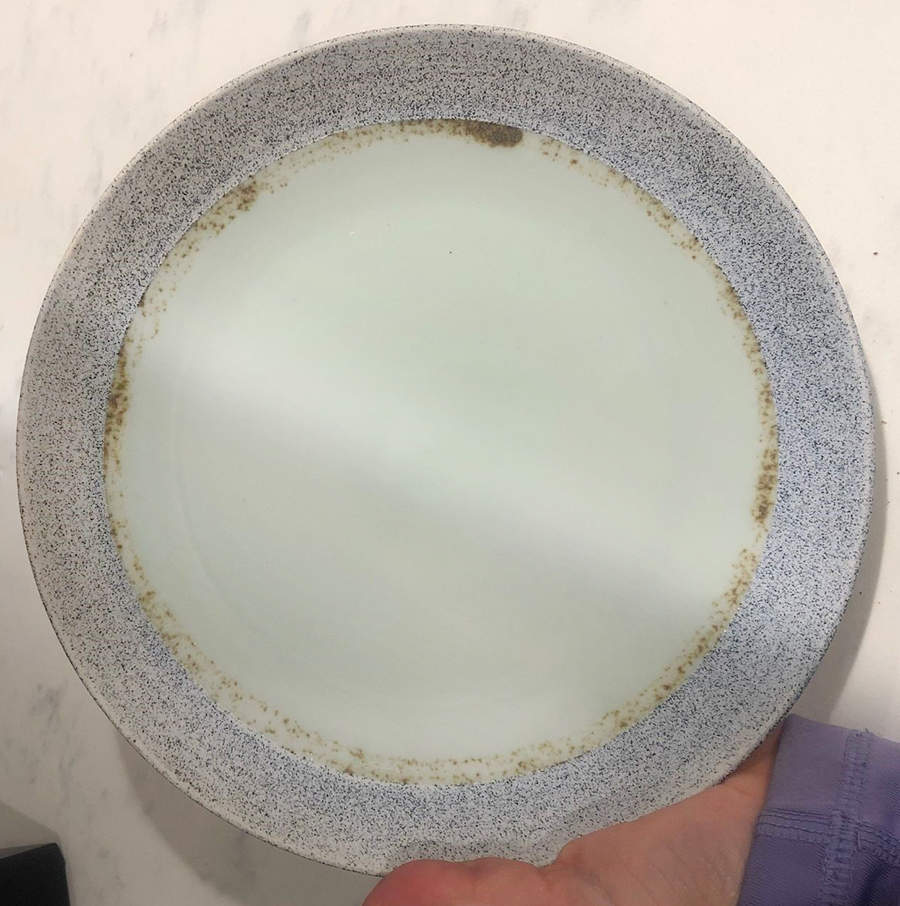 Shiny Ash Celadon Dinner Plate by West Elm-1