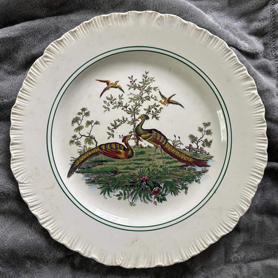 Liverpool Birds Multicolor (Shell Edge Shape) Dinner Plate by Wedgwood-1
