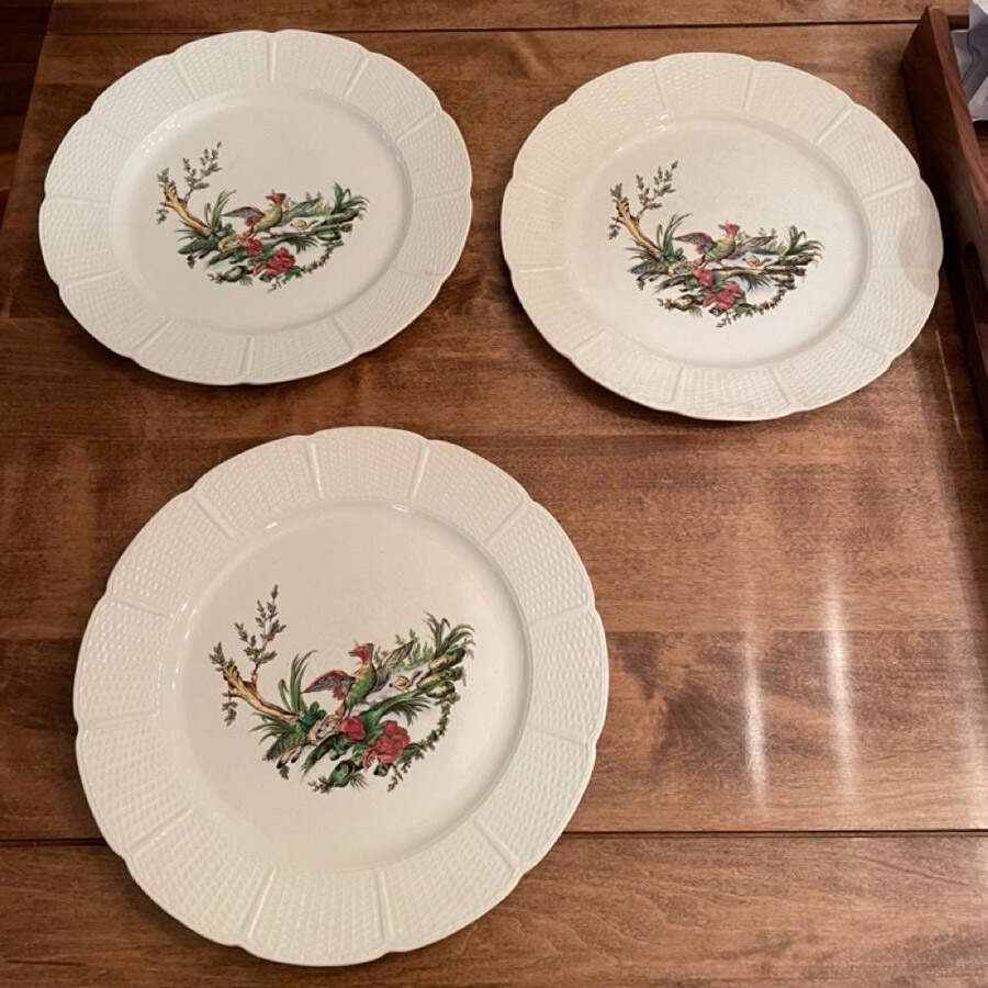 Mennecy Multicolor Dinner Plate by Wedgwood-1