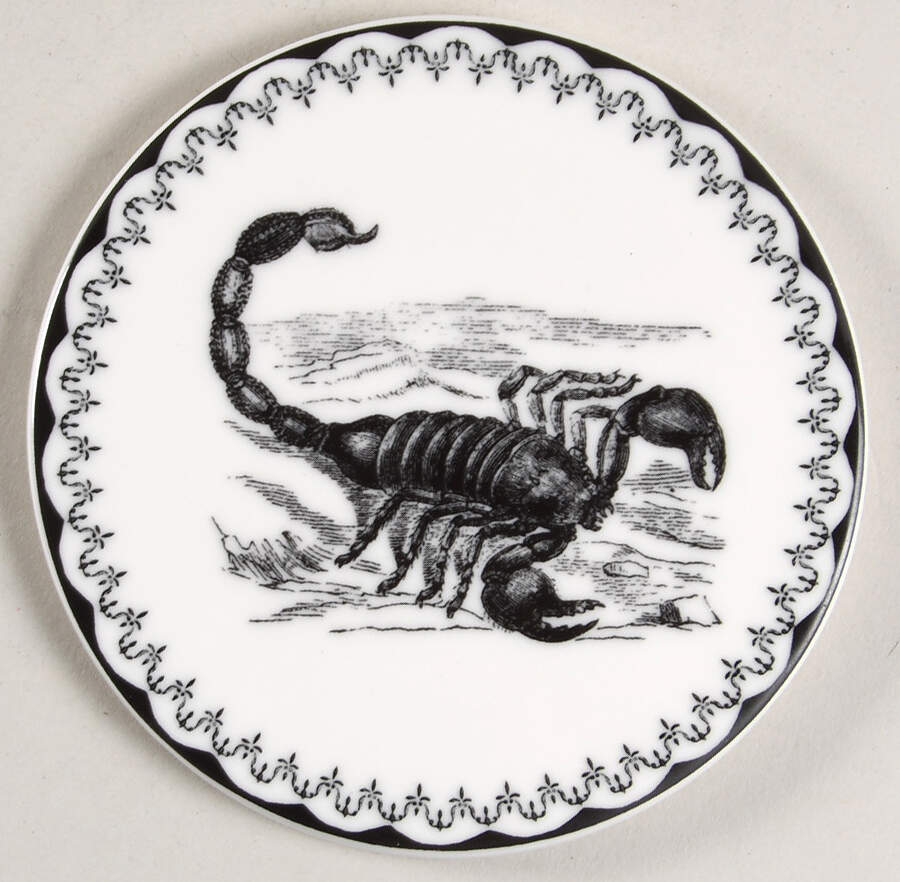 Spooky Soiree Coaster by Williams-Sonoma-1