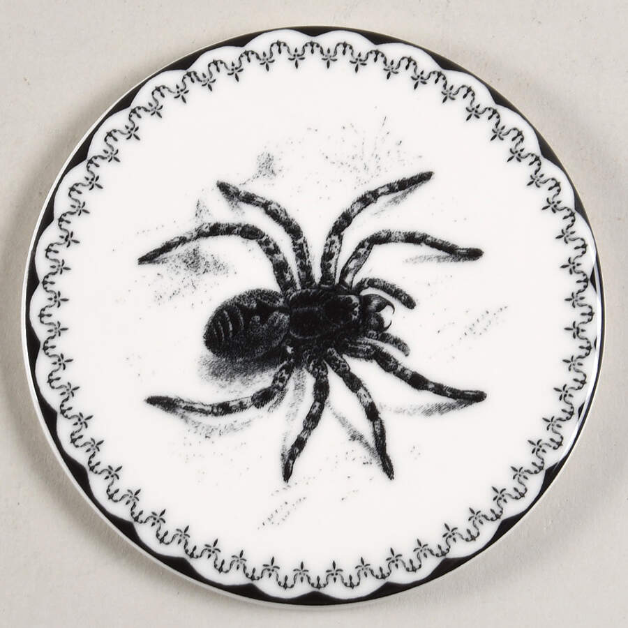 Spooky Soiree Coaster by Williams-Sonoma-1