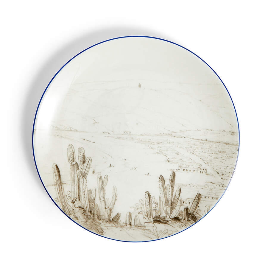 Darwin Voyage of the Beagle Salad/Dessert Plate by Wedgwood-1