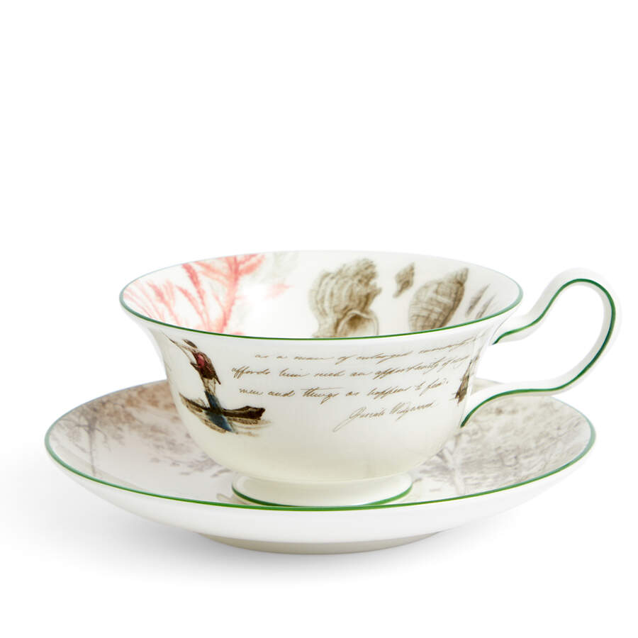 Darwin Voyage of the Beagle Flat Cup & Saucer Set by Wedgwood-1
