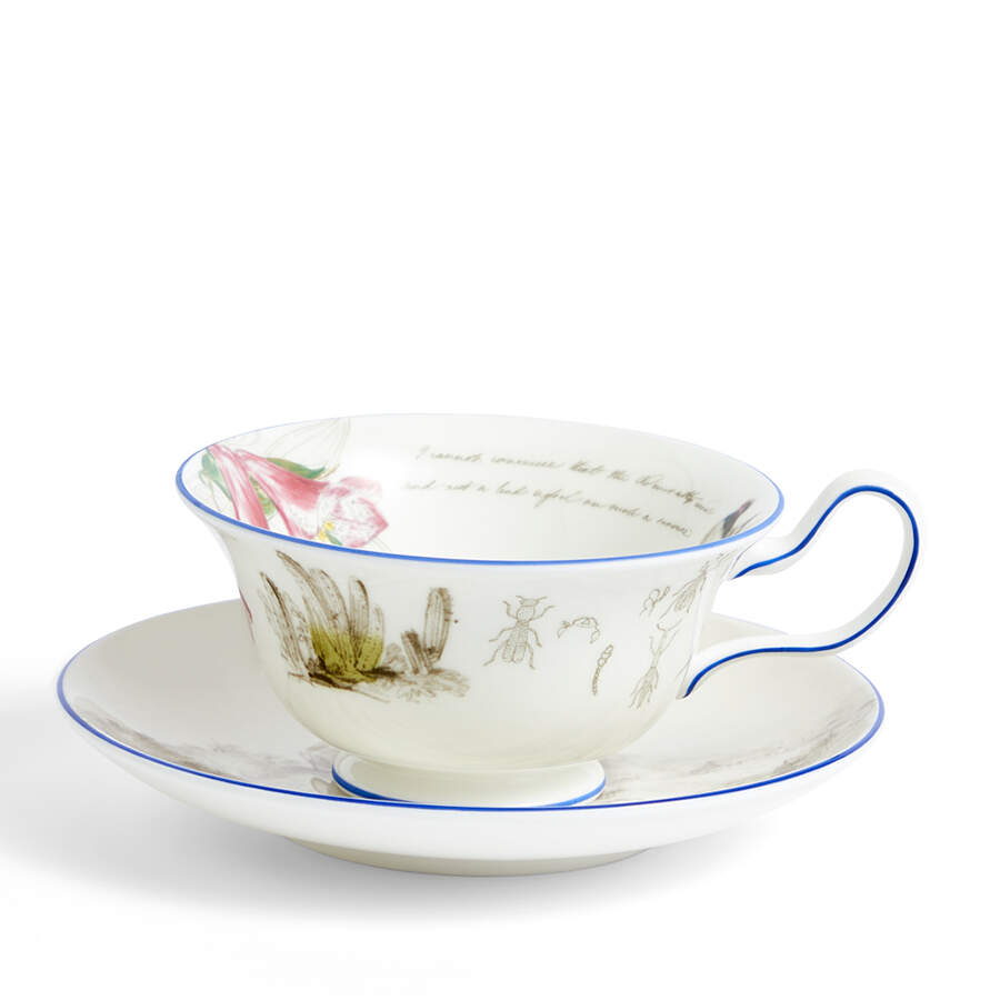 Darwin Voyage of the Beagle Flat Cup & Saucer Set by Wedgwood-1