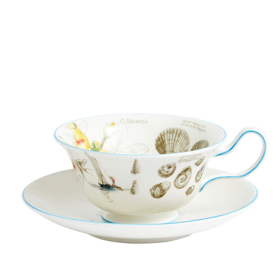 Darwin Voyage of the Beagle Flat Cup & Saucer Set by Wedgwood-1