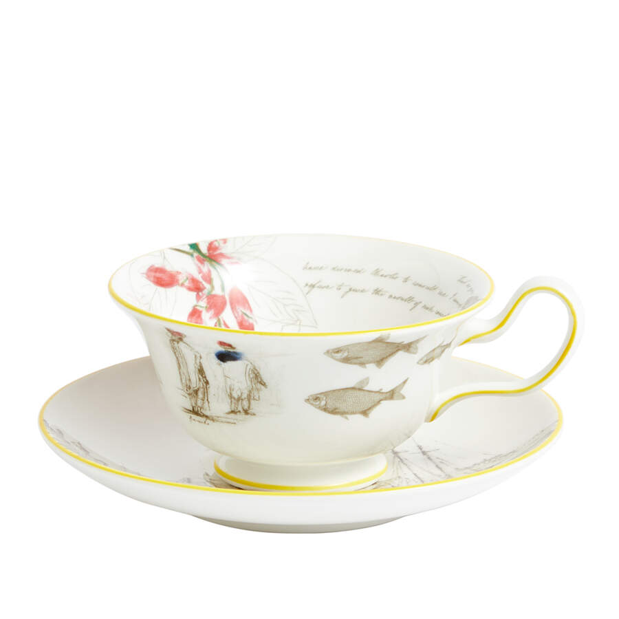 Darwin Voyage of the Beagle Flat Cup & Saucer Set by Wedgwood-1