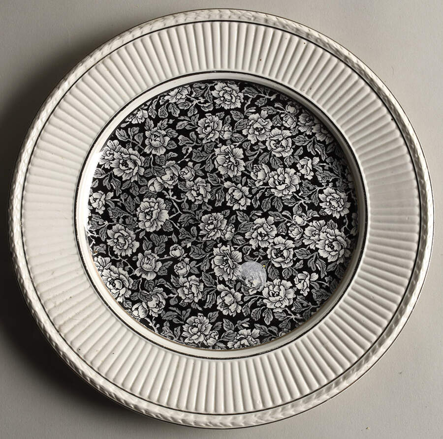 Al8939 Dinner Plate by Wedgwood-1