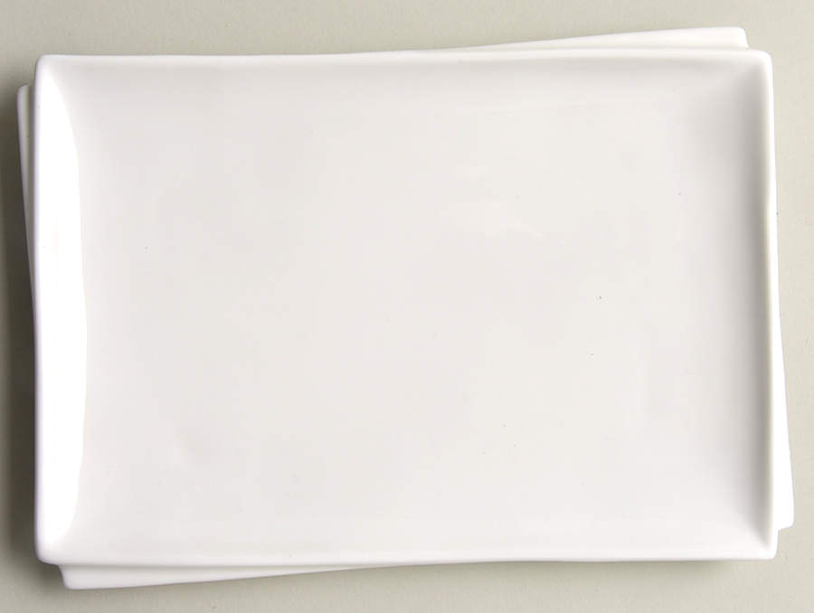 Sam & Squito 8" Rectangular Plate by Xiahe Co-1