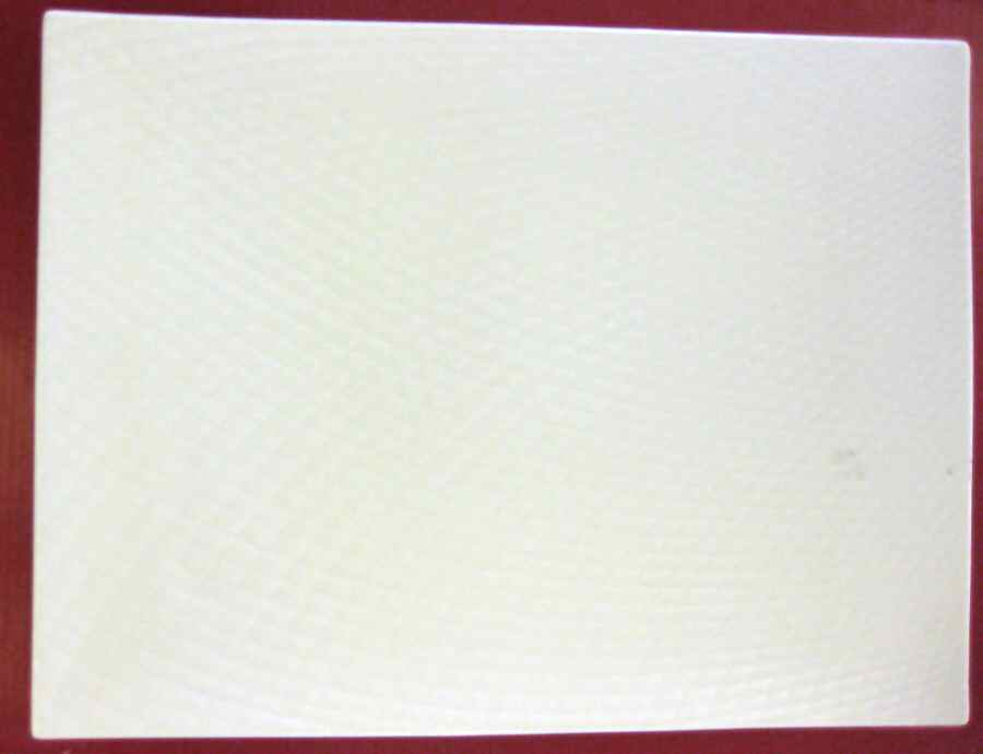 Sam & Squito 12" Rectangular Plate by Xiahe Co-1