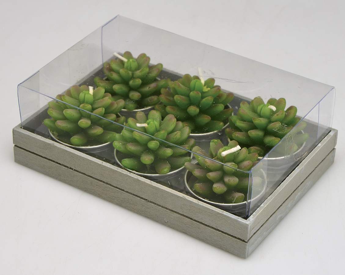 Giftware Cactus T-Light by One Hundred 80 Degrees-1