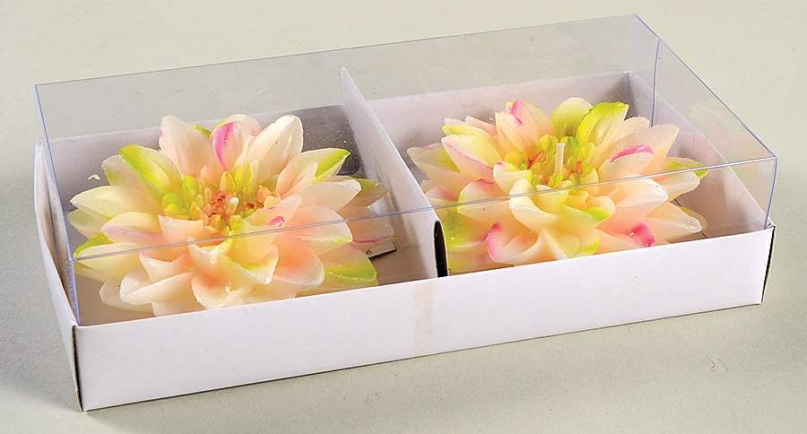 Giftware Flower Candle by One Hundred 80 Degrees-1