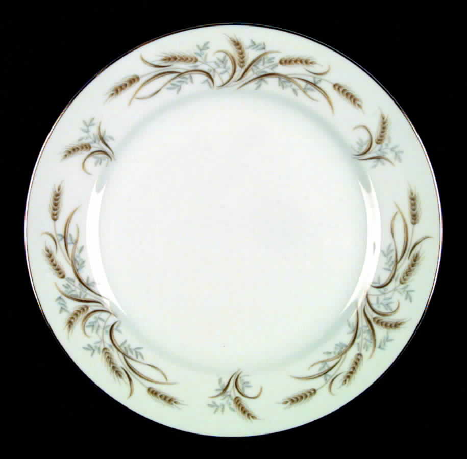 Ballet Dinner Plate by Yamaka-1
