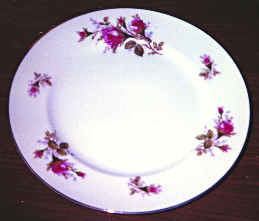 Moss Rose Dinner Plate by Yamaka-1
