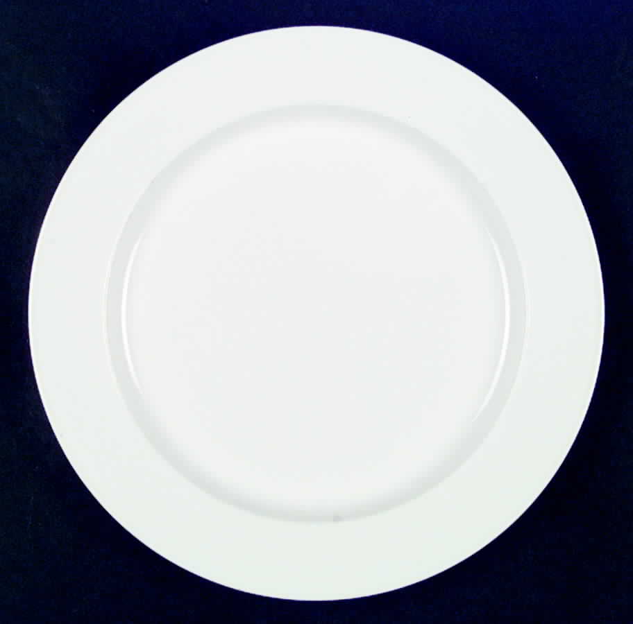 Spindrift Dinner Plate by Yamaka-1