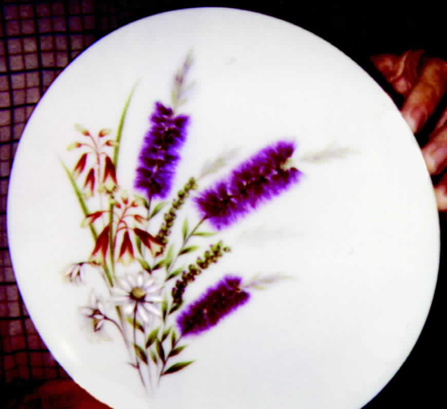 3213 Dinner Plate by Yamato-1