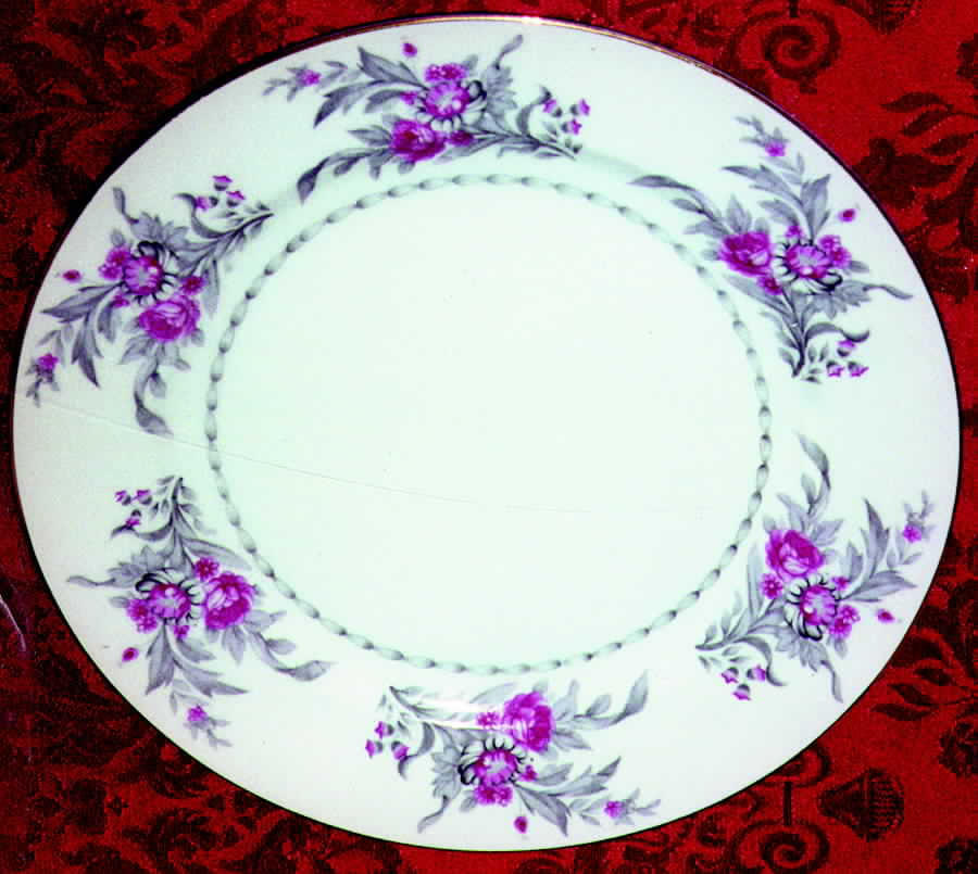 344 Dinner Plate by Yamaka-1