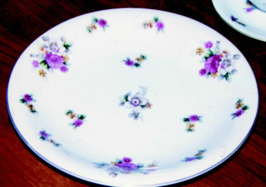 YAM34 Dinner Plate by Yamaka-1