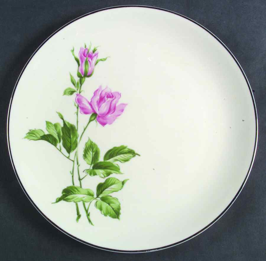 YOU1 Dinner Plate by Youngsware-1