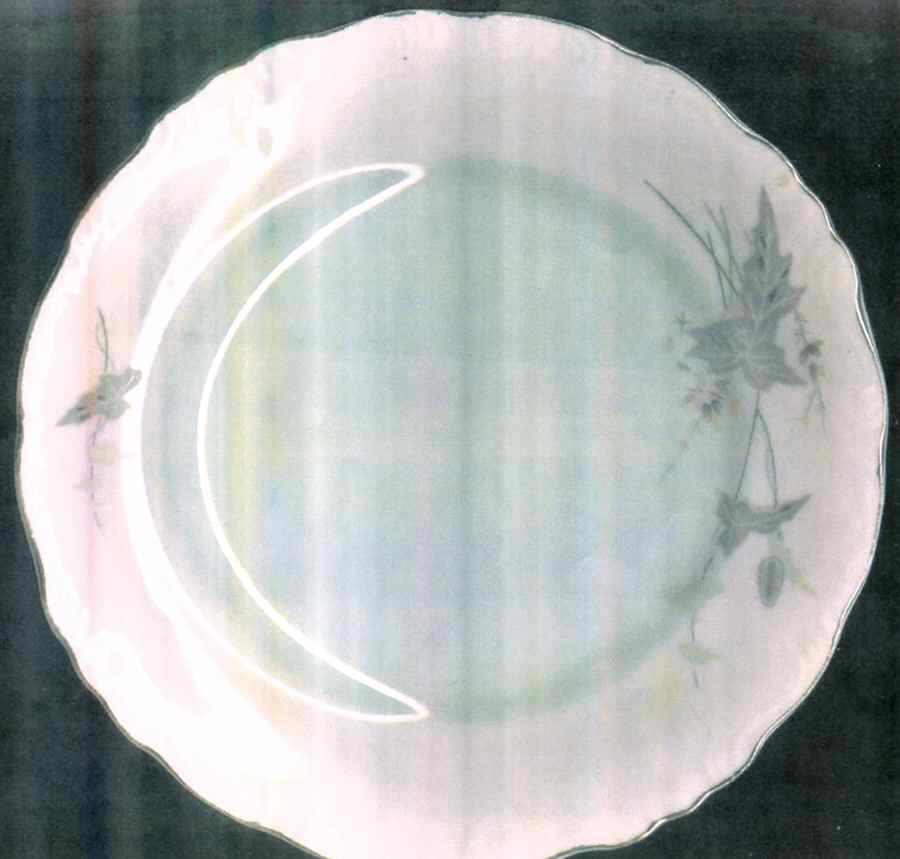 YAM51 Dinner Plate by Yamaka-1