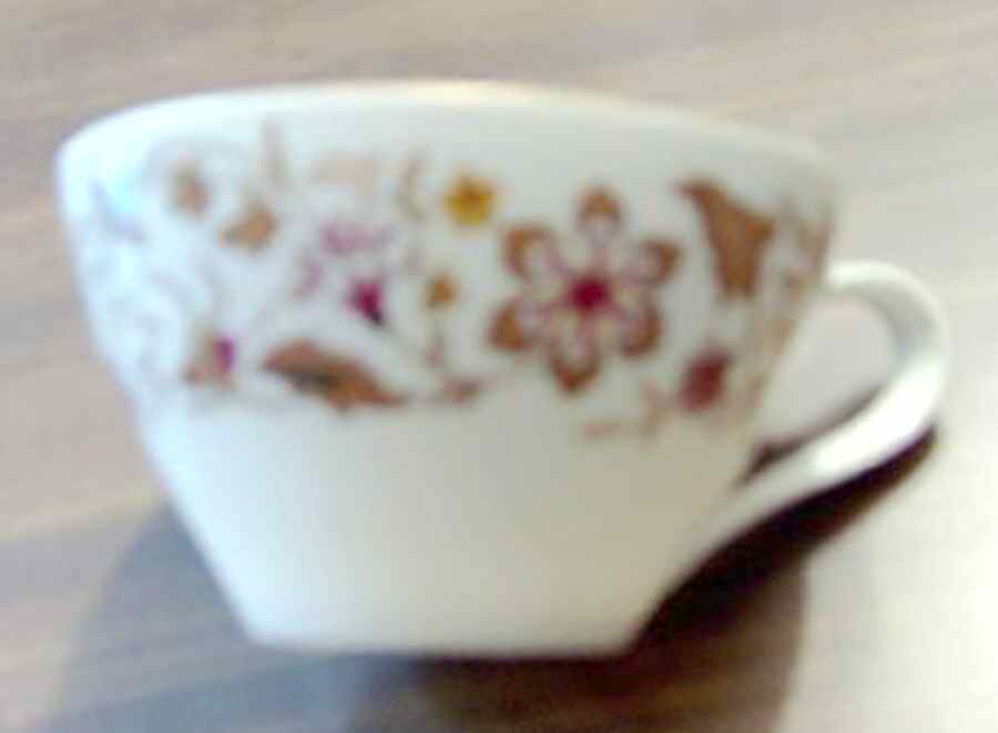 YAT11 Flat Cup by Yamato-1