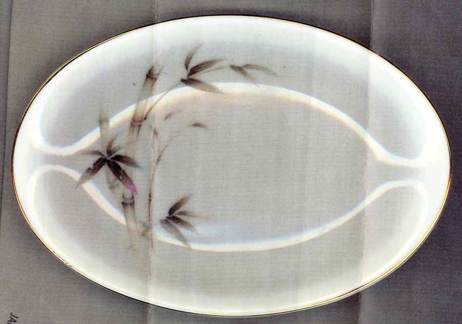 Tropicale Underplate for Gravy Boat by Yamaka-1