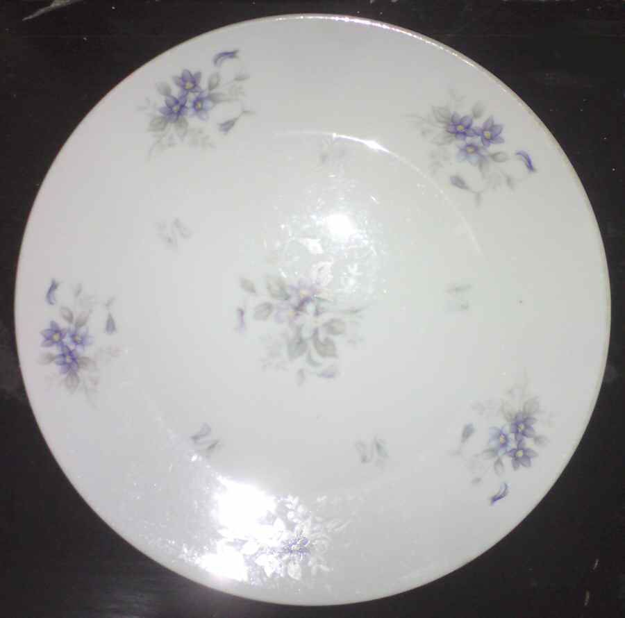 YAT13 Dinner Plate by Yamato-1