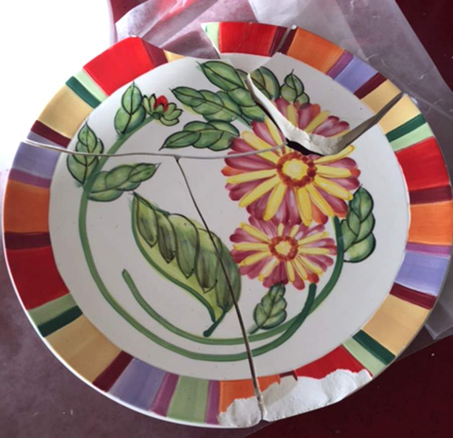 YOI11 Dinner Plate by Young's Inc.-1