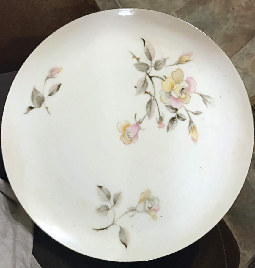 853 Dinner Plate by Yamaka-1
