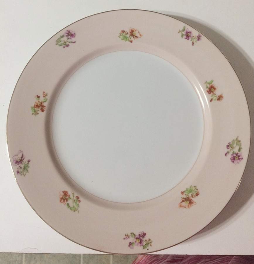 YAM102 Dinner Plate by Yamaka-1