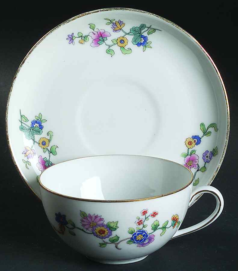 9953 (Bavaria) Flat Cup & Saucer Set by Scherzer-1