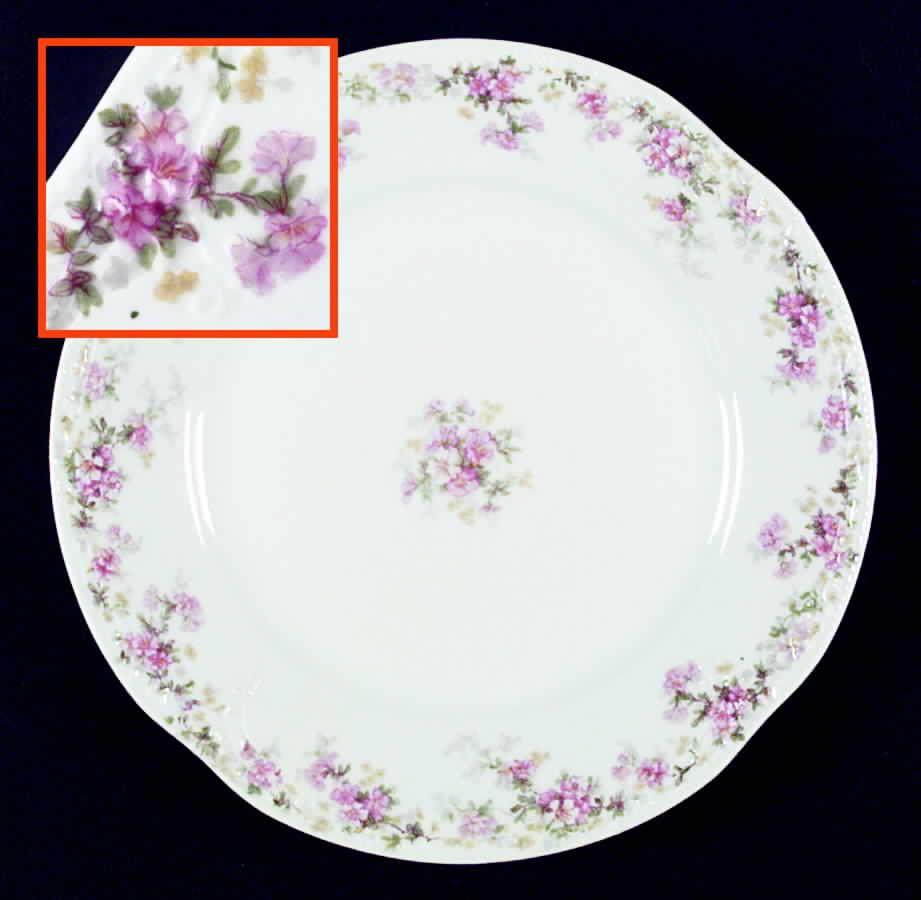 Richmond Dinner Plate by Z S & Co (Scherzer)-1