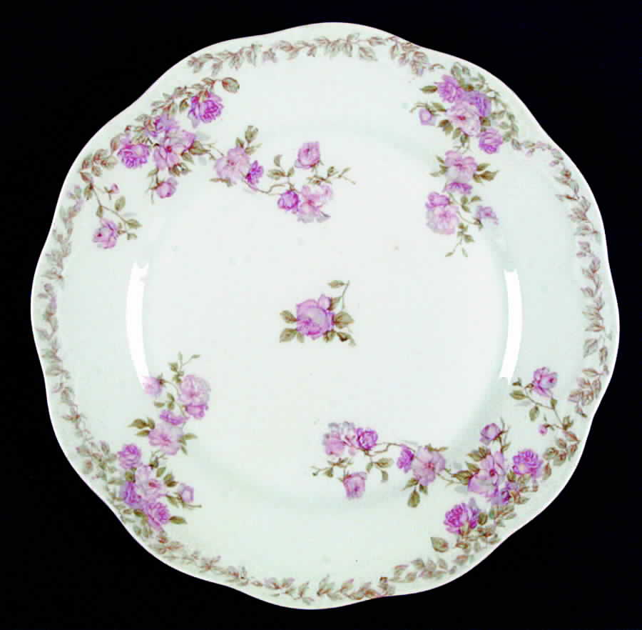 SCR196 Dinner Plate by Scherzer-1