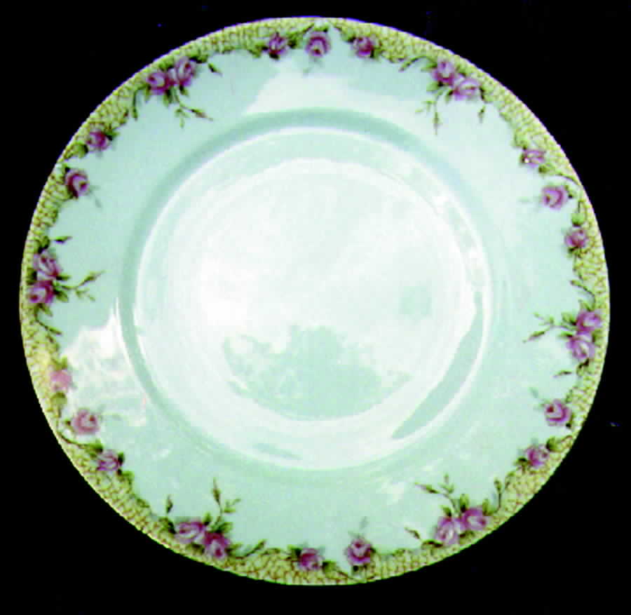 SCR366 Dinner Plate by Scherzer-1