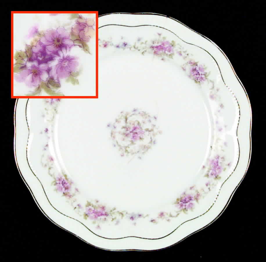 ZSC41 Salad Plate by Z S & Co (Scherzer)-1