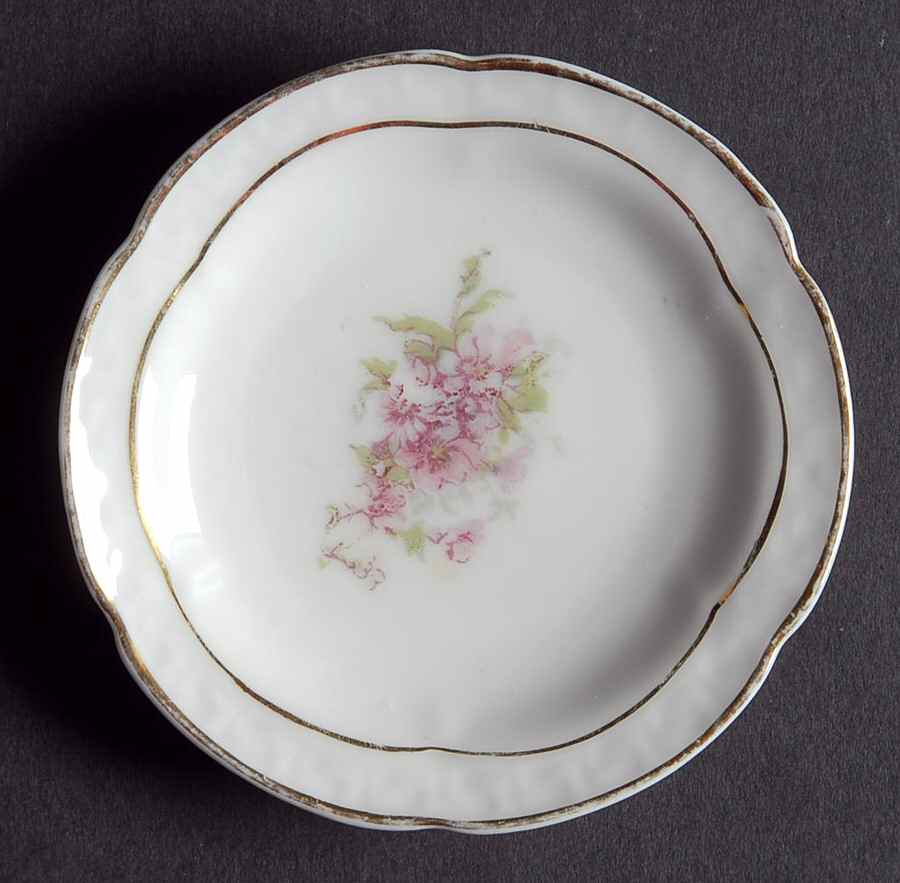 ZSC41 Butter Pat by Z S & Co (Scherzer)-1