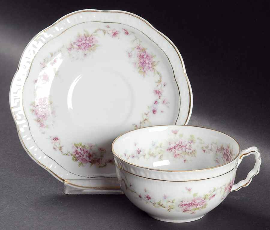 ZSC41 Flat Cup & Saucer Set by Z S & Co (Scherzer)-1