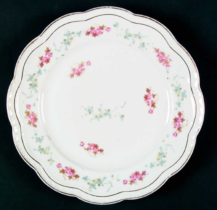 ZSC60 Dinner Plate by Z S & Co (Scherzer)-1