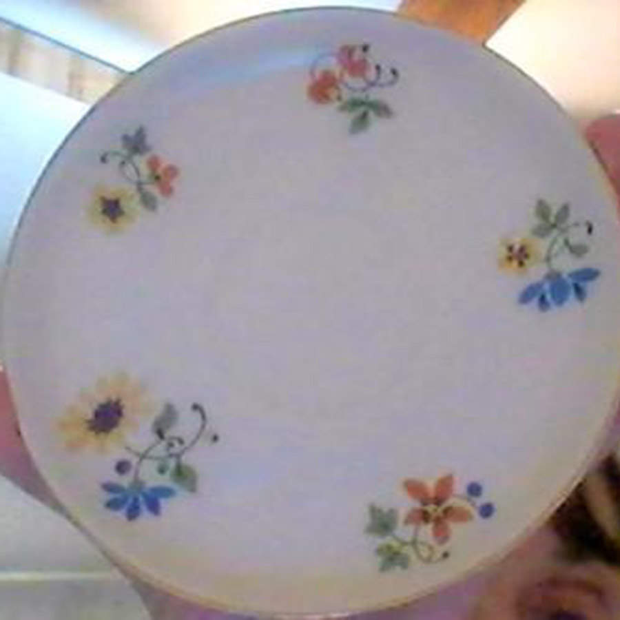 9789 Saucer by Scherzer-1