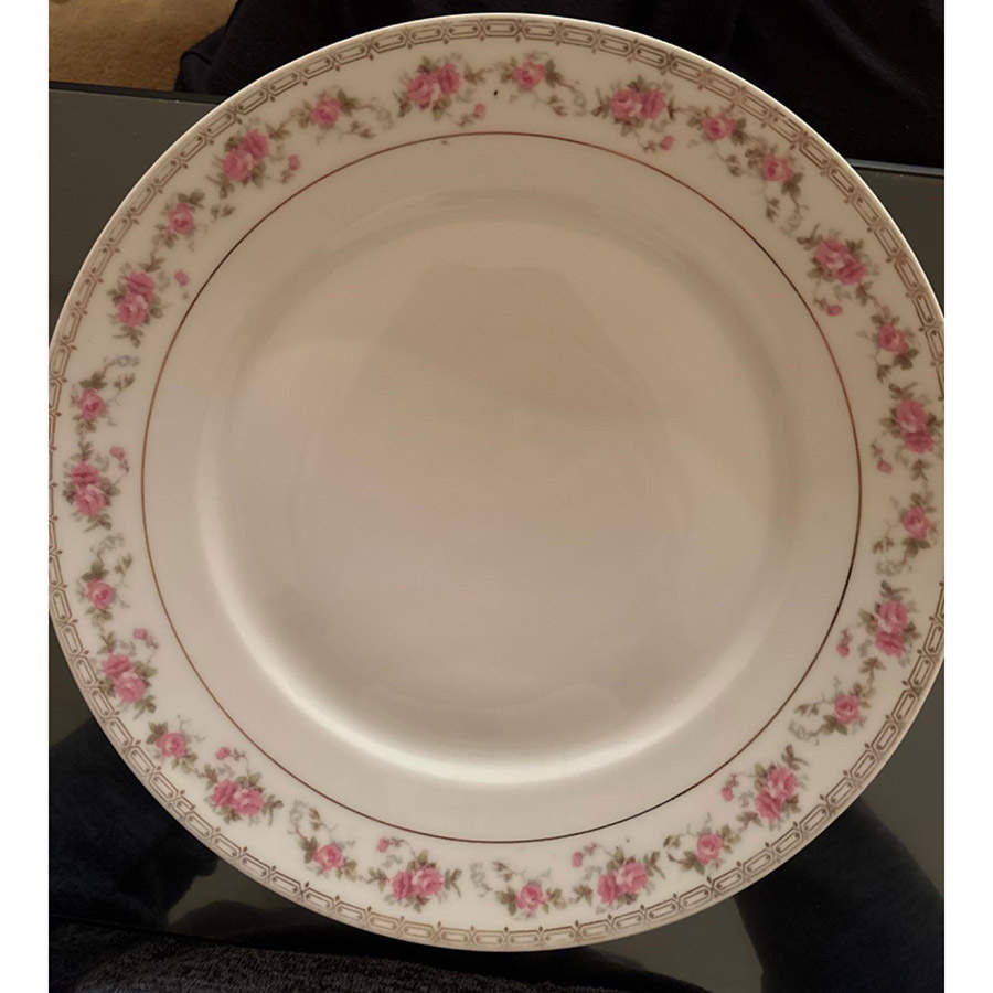 SCR455 Dinner Plate by Scherzer-1