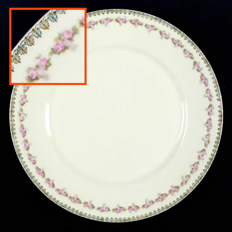 ZSC83 Dinner Plate by Z S & Co (Scherzer)-1