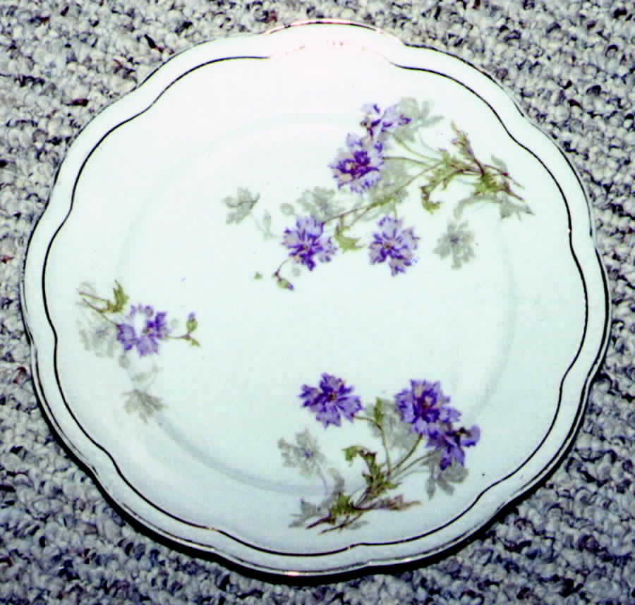 SCR203 Dinner Plate by Scherzer-1