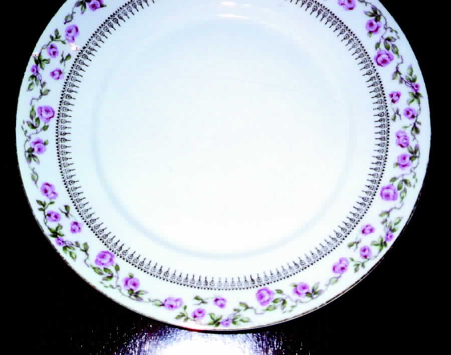 SCR204 Dinner Plate by Scherzer-1