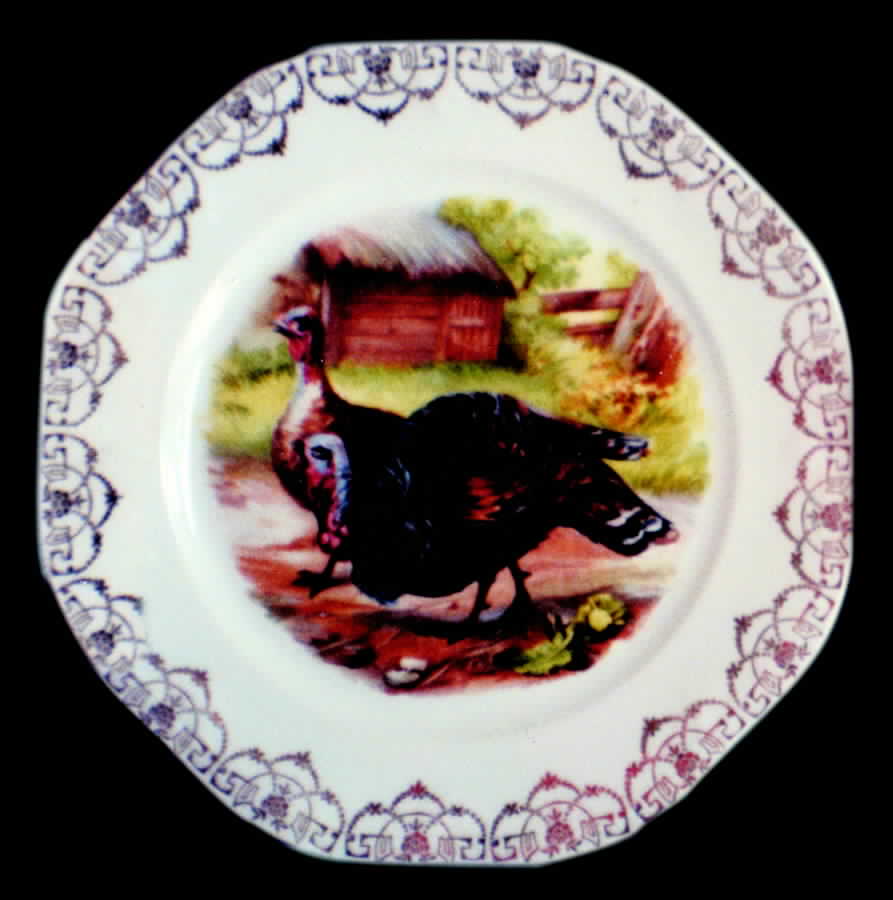 SCR211 Dinner Plate by Scherzer-1