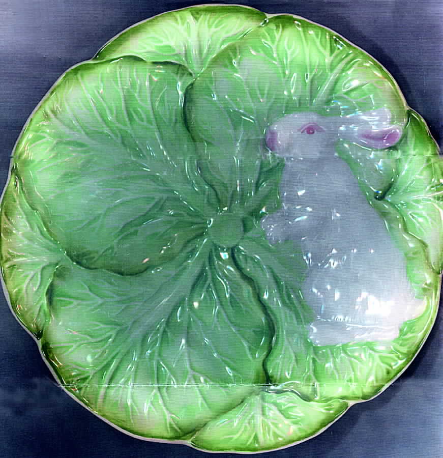Rabbit Patch Salad Plate by Zrike-1