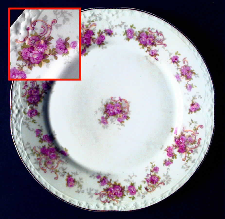 SCR217 Dinner Plate by Scherzer-1