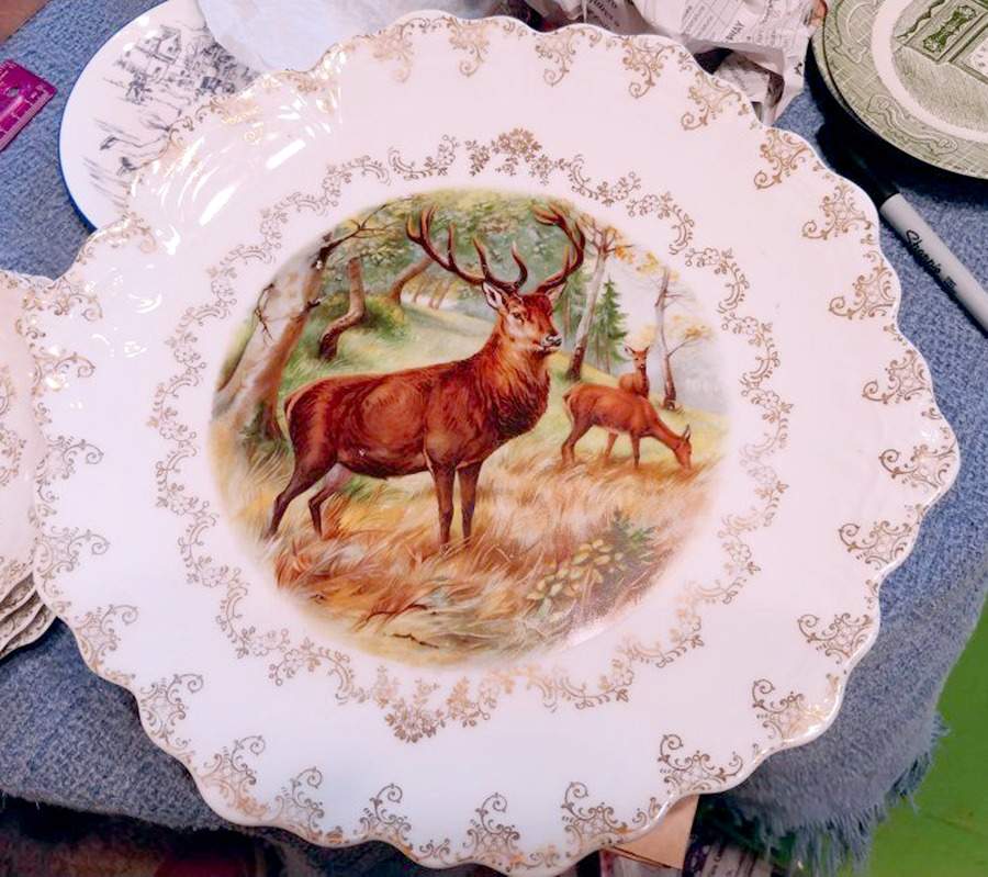 SCR226 13" Wall Plate by Scherzer-1
