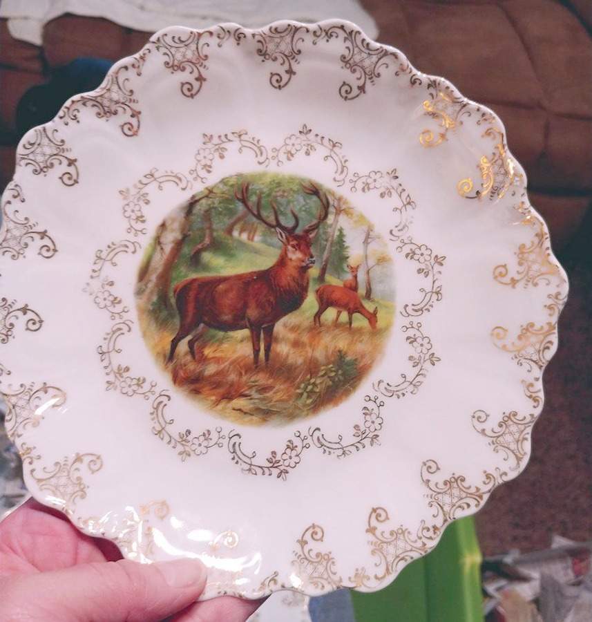 SCR226 Salad Plate by Scherzer-1