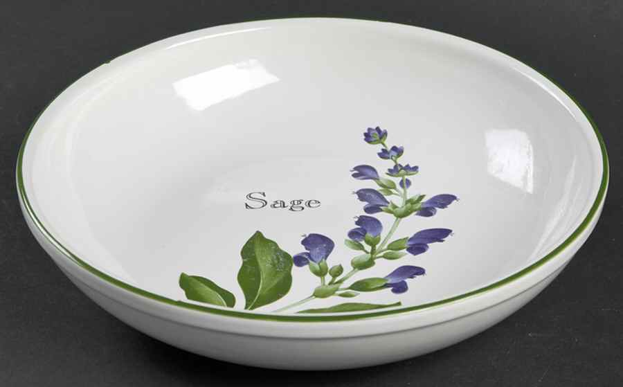 Florence 8" Individual Pasta Bowl by Zrike-1