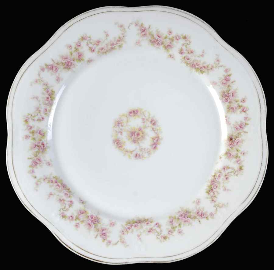 SCR230 Dinner Plate by Scherzer-1