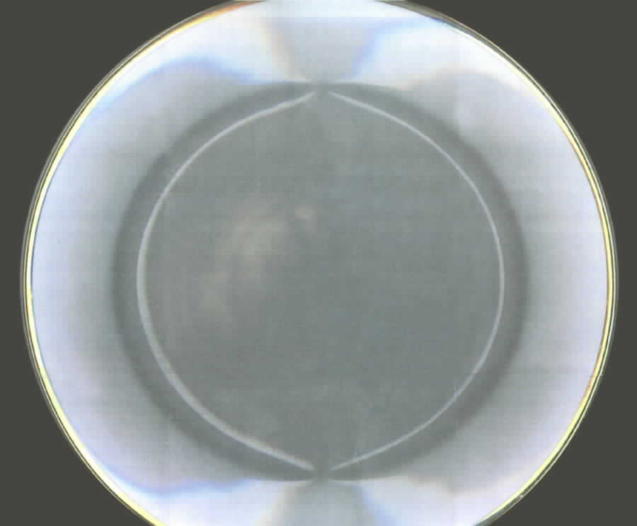 ZRI15 Dinner Plate by Zrike-1